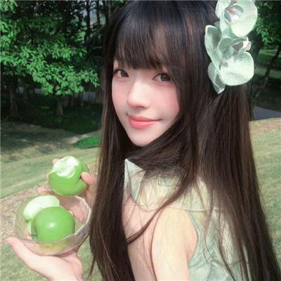 观鸟大年